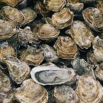Zinc anodes, used to protect against corrosion in marine environments, affect the metabolism of oysters.