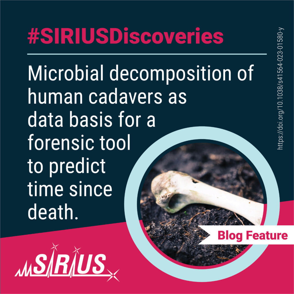 Microbial decomposers, including bacteria and fungi, play a crucial role in breaking down organic matter into simpler compounds. However, there's still much to uncover about how these microbial communities assemble, interact, and function within ecosystems. Using metagenome assembly and metabolomics analysis, this study examines the universal microbial decomposer network that assembles in response to mammalian remains, how the cadaver-derived nutrient pool changes during decomposition process (using ZODIAC), and whether this microbial community change can be used for predicting time since death for forensic purposes.