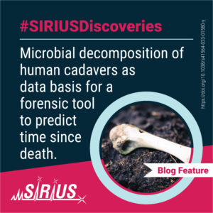 Microbial decomposers, including bacteria and fungi, play a crucial role in breaking down organic matter into simpler compounds. However, there's still much to uncover about how these microbial communities assemble, interact, and function within ecosystems. Using metagenome assembly and metabolomics analysis, this study examines the universal microbial decomposer network that assembles in response to mammalian remains, how the cadaver-derived nutrient pool changes during decomposition process (using ZODIAC), and whether this microbial community change can be used for predicting time since death for forensic purposes.