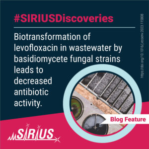 Antibiotics are crucial for fighting bacterial infections, but the rise of antibiotic resistance poses a serious threat to public health. Beyond healthcare, the presence of antibiotic residues in wastewater exacerbates the problem. Conventional treatment methods often fall short in adequately removing these compounds, perpetuating resistance. Biological processes, such as biotransformation by fungi, have emerged as promising alternatives. Researchers investigated the potential of fungi to transform antibiotics, using SIRIUS and CSI:FingerID to identify degradation products.