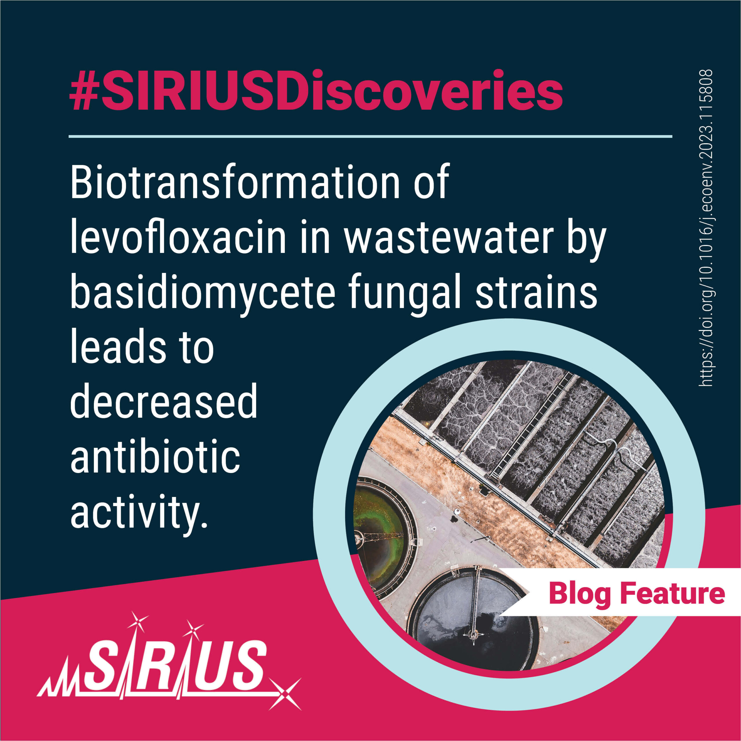 Antibiotics are crucial for fighting bacterial infections, but the rise of antibiotic resistance poses a serious threat to public health. Beyond healthcare, the presence of antibiotic residues in wastewater exacerbates the problem. Conventional treatment methods often fall short in adequately removing these compounds, perpetuating resistance. Biological processes, such as biotransformation by fungi, have emerged as promising alternatives. Researchers investigated the potential of fungi to transform antibiotics, using SIRIUS and CSI:FingerID to identify degradation products.