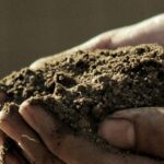 Innovative approach to prioritise chemical profiling over exhaustive identification for analysing and comparing biomes.