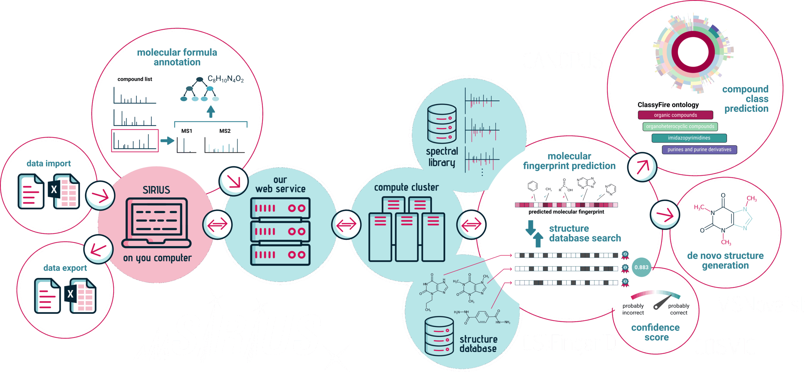 Bubbles linking together the different services and tools in the SIRIUS software.