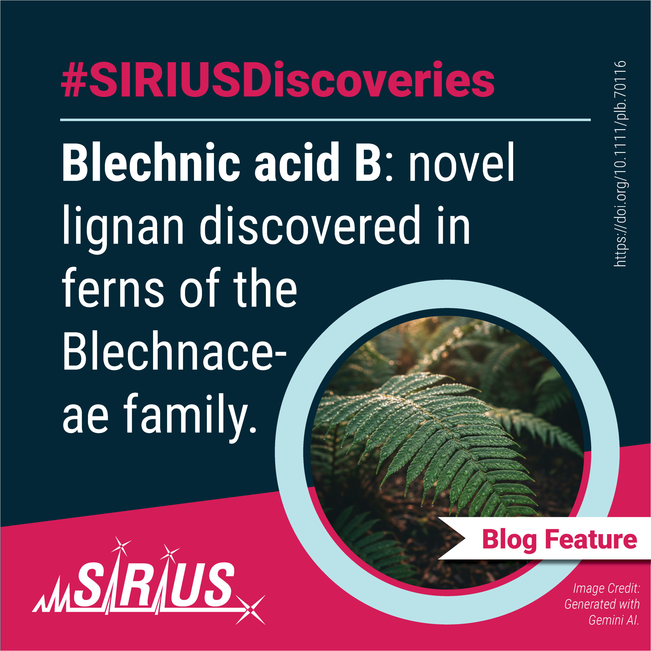 Blechnic acid B: novel lignan discovered in ferns of the Blechnaceae family.