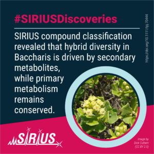 #SIRIUSDiscoveries