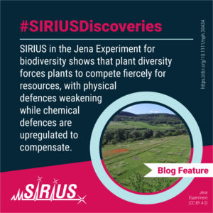 #SIRIUSDicoveries