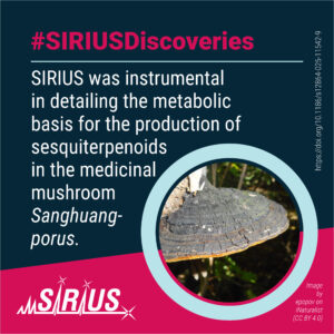 The secrets of healing mushrooms