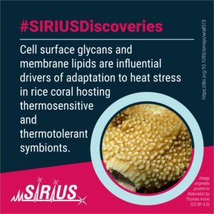 Uncovering a Key to Coral Heat Tolerance