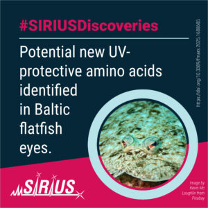 #SIRIUSDiscoveries