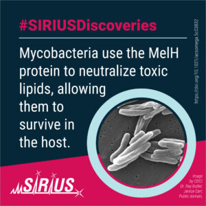 #SIRIUSDiscoveries