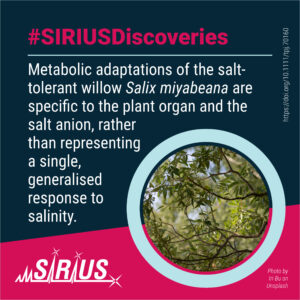 #SIRIUSDiscoveries